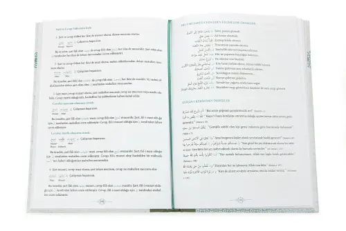 Avamil Zehra Seven - 3