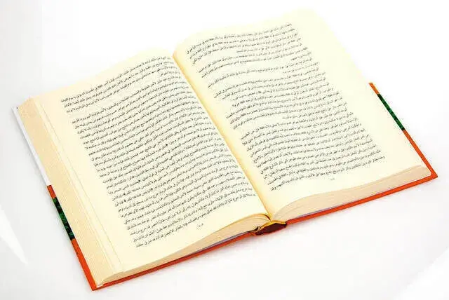 Behcetün Nüfus - 3