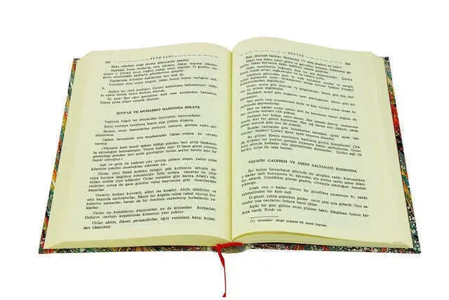 Bostan-Gülistan Altın Küpeler-Bedir Yayınevi - 2