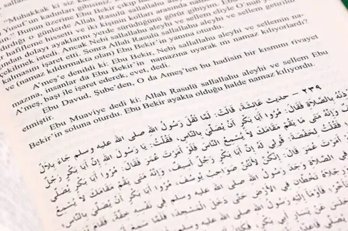 Buhari ve Müslim İttifak Ettiği Hadisler - İthal Kağıt-1471 - 3