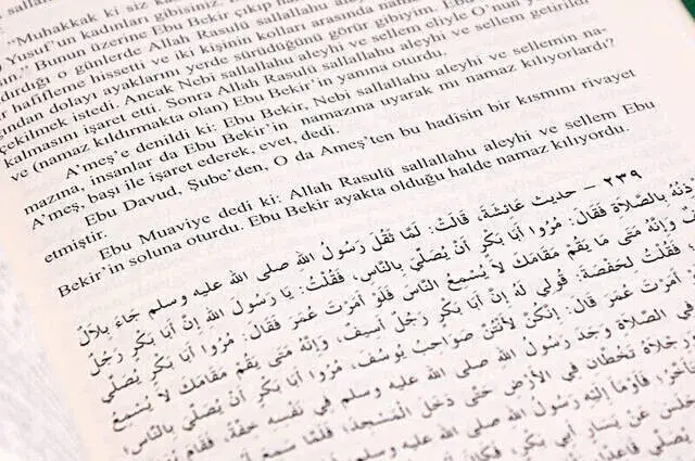Buhari and his Muslim Alliance Hadiths - Imported Paper-1471 - 3
