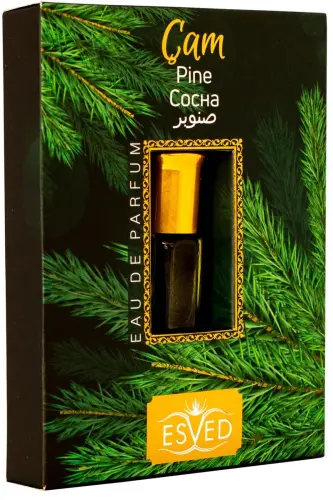 Çam Kokusu Parfüm Esansı Alkolsüz Esans 3Ml. 