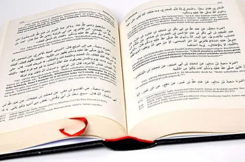 El-Müsned Hadisler - İmam Şafii-1469 - 3