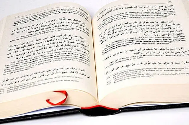 El-Müsned Hadisler - İmam Şafii-1469 - 3