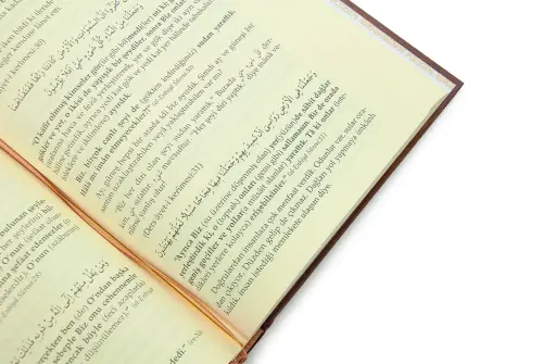 El Yazma Sohbetler - Mahmud Efendi Hazretleri - 3 Cilt Takım - 6