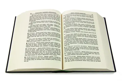 Encyclopedia of Islamic Dream Phrases - Imam Nablusi - Sentence Publications - 4