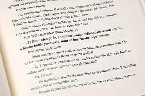 Envarü'l Aşıkın - Aşıkların Nurları - Merve Yayınları-1517 - 2