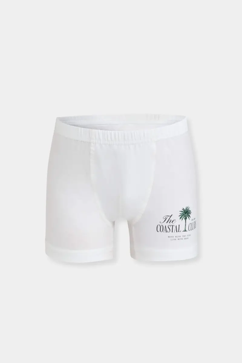 Erkek Çocuk 3'lü Boxer - Renkli Pamuklu - Berrak 5068 - 4