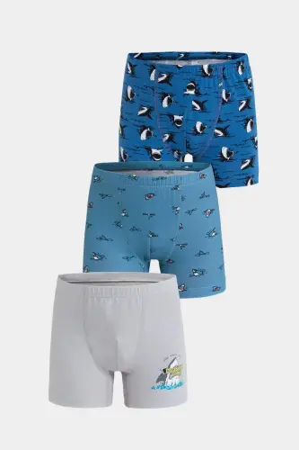 Erkek Çocuk 3'lü Boxer - Renkli Pamuklu - Berrak 5070 - 1