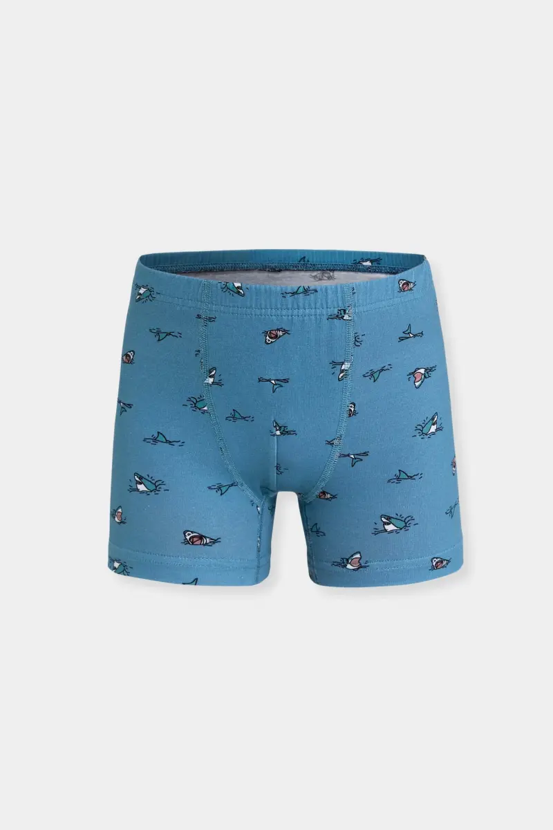 Erkek Çocuk 3'lü Boxer - Renkli Pamuklu - Berrak 5070 - 3