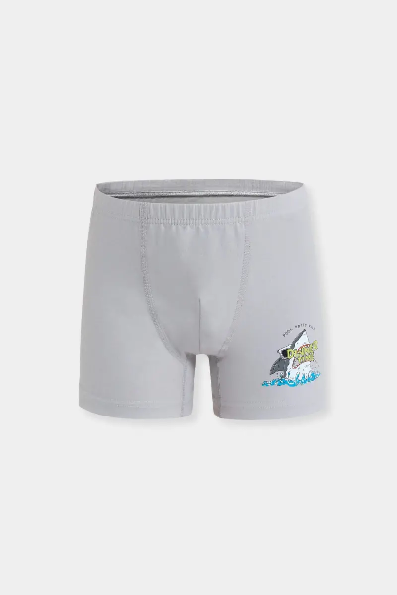 Erkek Çocuk 3'lü Boxer - Renkli Pamuklu - Berrak 5070 - 4
