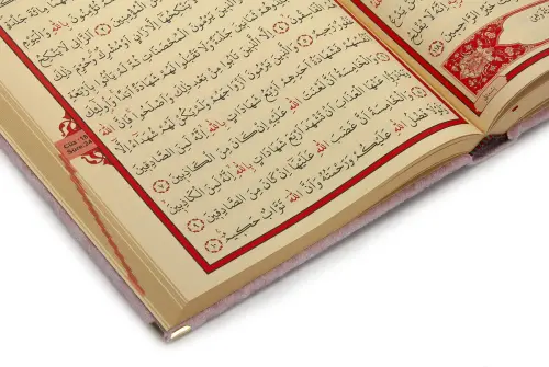 Gift Velvet Covered Name Special Plexi Pattern Arabic Rahle Boy Quran Pink - 5