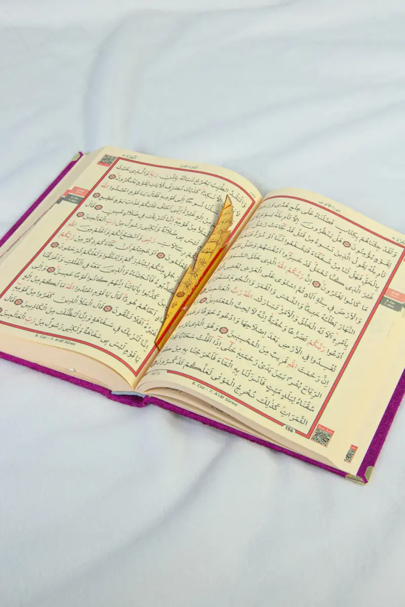Gift Velvet Covered Name Special Plexi Patterned Arabic Medium Size Quran Fuchsia - 3