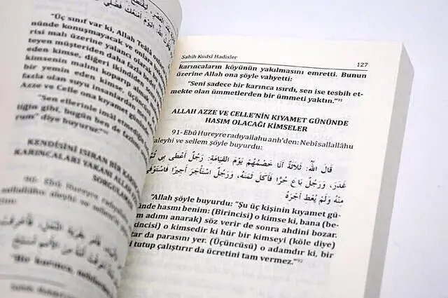 Hacamat Kitabı-1572 - 3