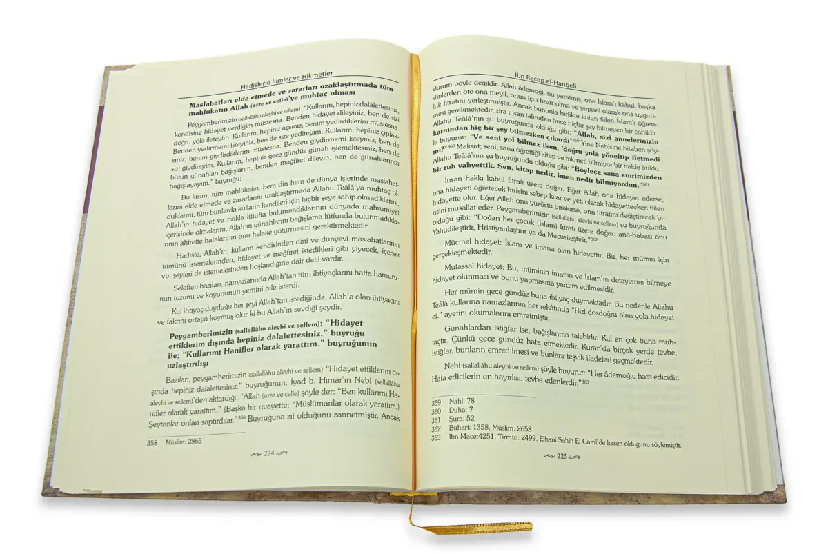 Hadislerle İlimler ve Hikmetler - Camiu'l-Ulum Ve'l-Hikem - 3