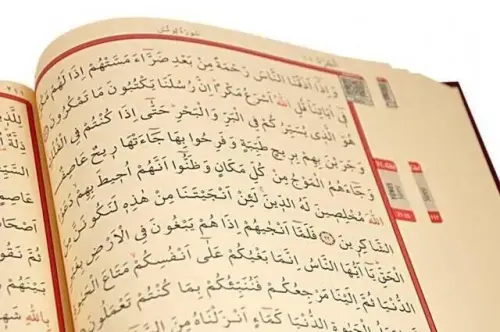 Hafiz Boy Rose Patterned ColorEd Koran Karim (Pink) - 9.1123 - 4