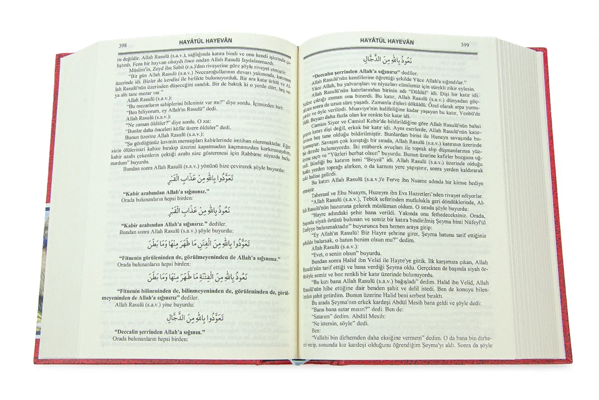 Hayatül Hayevan Havas ve Esrarı – Kemaleddin Demiri (Ciltli, 800 Sayfa) - 3