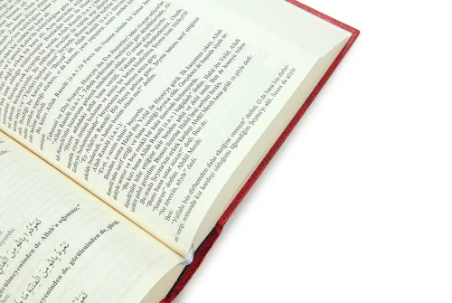 Hayatül Hayevan Havas ve Esrarı – Kemaleddin Demiri (Ciltli, 800 Sayfa) - 4