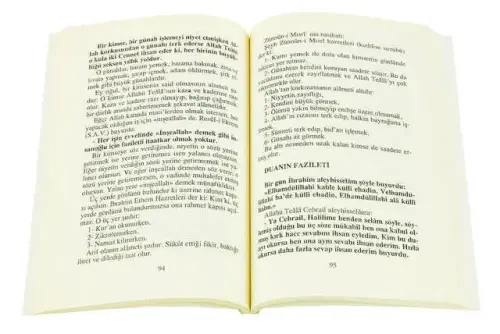 Hüccetü'l İslam-Hisar yay - Hisar Yayınevi (1)