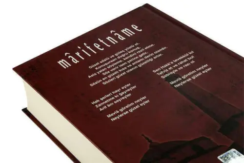 Ingenuity - Ibrahim Haki of Erzurum Hz.-1565 - Çelik Yayınevi (1)