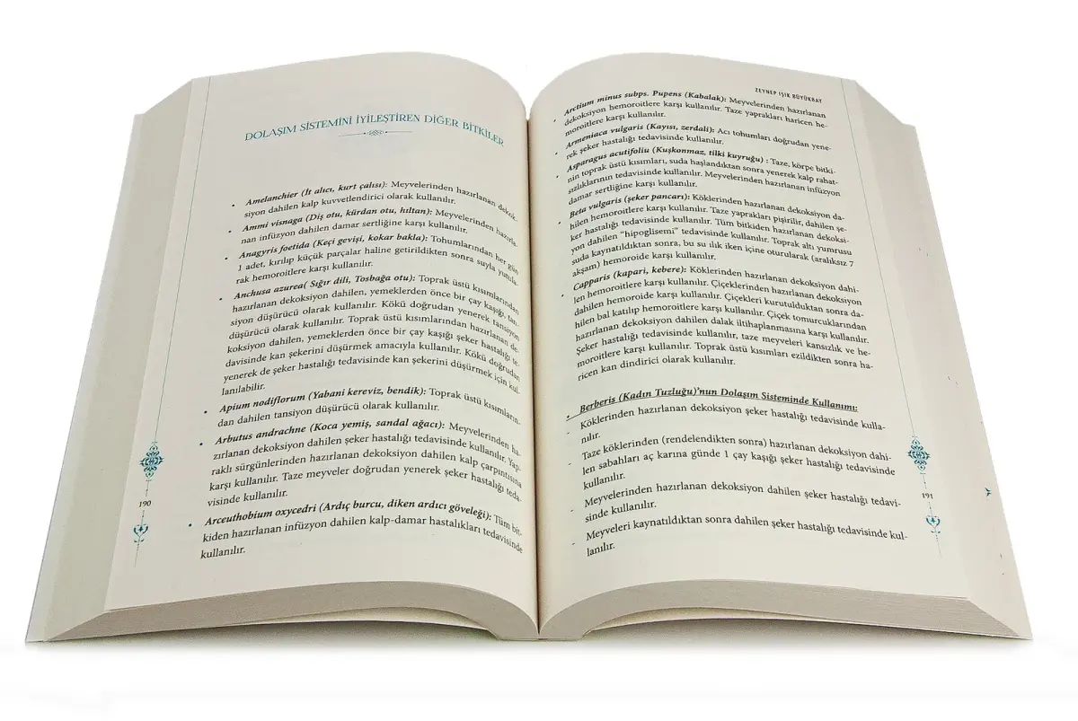 Kainat Pharmacy - Zeynep Işık Büyükbay - 3