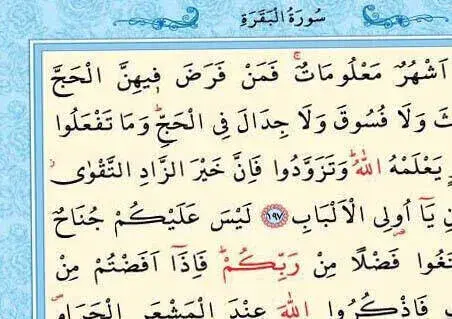 Kuranı Kerim - Sade Arapça - Rahle Boy - Sesli - Mavi Renk - Ayfa Kuran - Bilgisayar Hatlı - 6