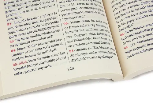 Kuranı Kerimin Yüce Meali - Metinsiz Türkçe Açıklaması-Orta boy - 5