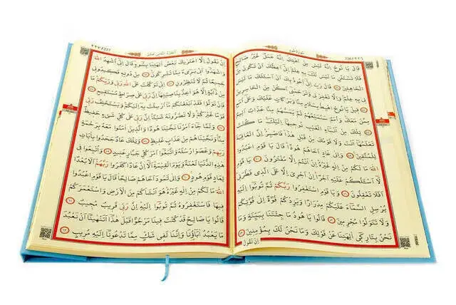 Kuran Karim - Plain Arabic - Cami Boy - Audio - Blue Color - Computer Lined - 2