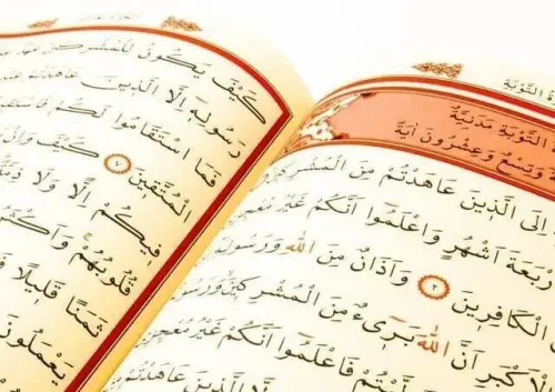 Kuran Karim - Plain Arabic - Medium Size - Audio - Boxed - Computer-Lined - 2