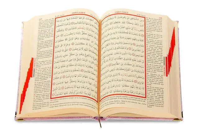 Mealli Kuran - Kadife Kaplı - Allah Lafızlı - Orta Boy - Pembe Renk - 3