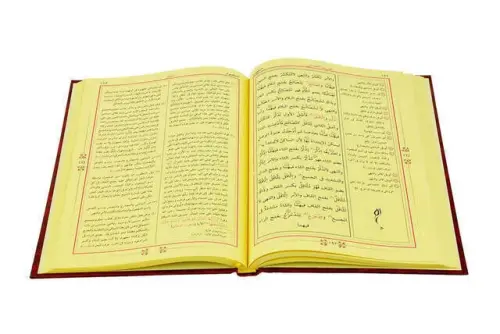 Mecmuat'üs Sarf Emsile, Bina, Maksud, İzzi - 2