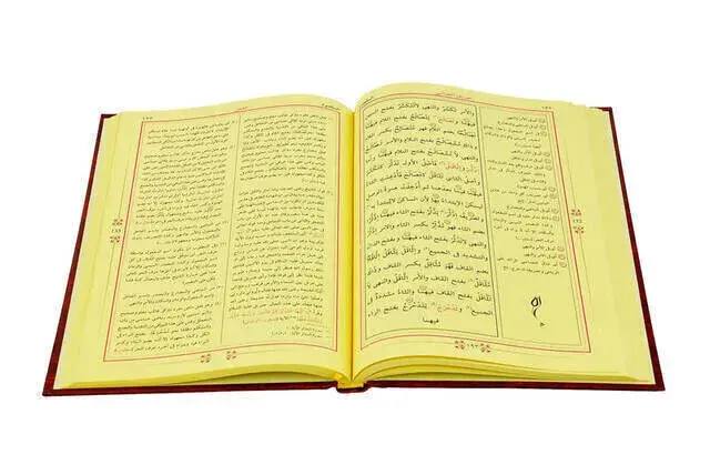 Mecmuat'üs Sarf Emsile, Bina, Maksud, İzzi - 2