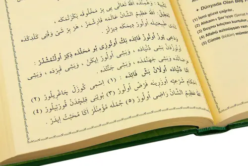 Mızraklı İlmihal Risaleler ve Tercümeleri - Yasin Yayınevi - 5