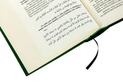Mücerrebatı Deyrebiyi Kebir Kitabı - 3