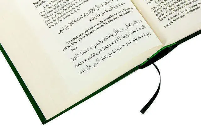 Mücerrebatı Deyrebiyi Kebir Kitabı - 3