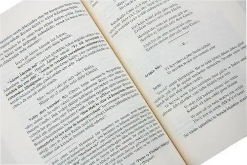 Niyazi Mısri Divanı Şerhi - 3