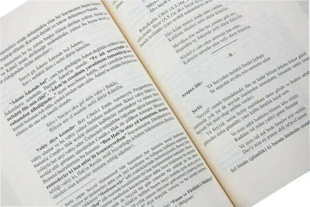 Niyazi Mısri Divanı Şerhi - 3