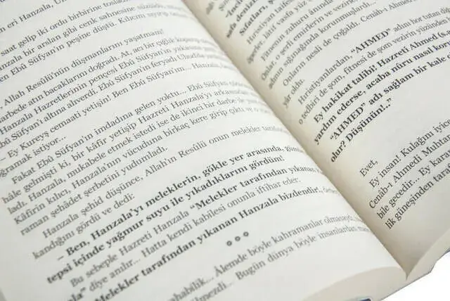 Peygamber Aşıkları - Mustafa Necati Bursalı - 5