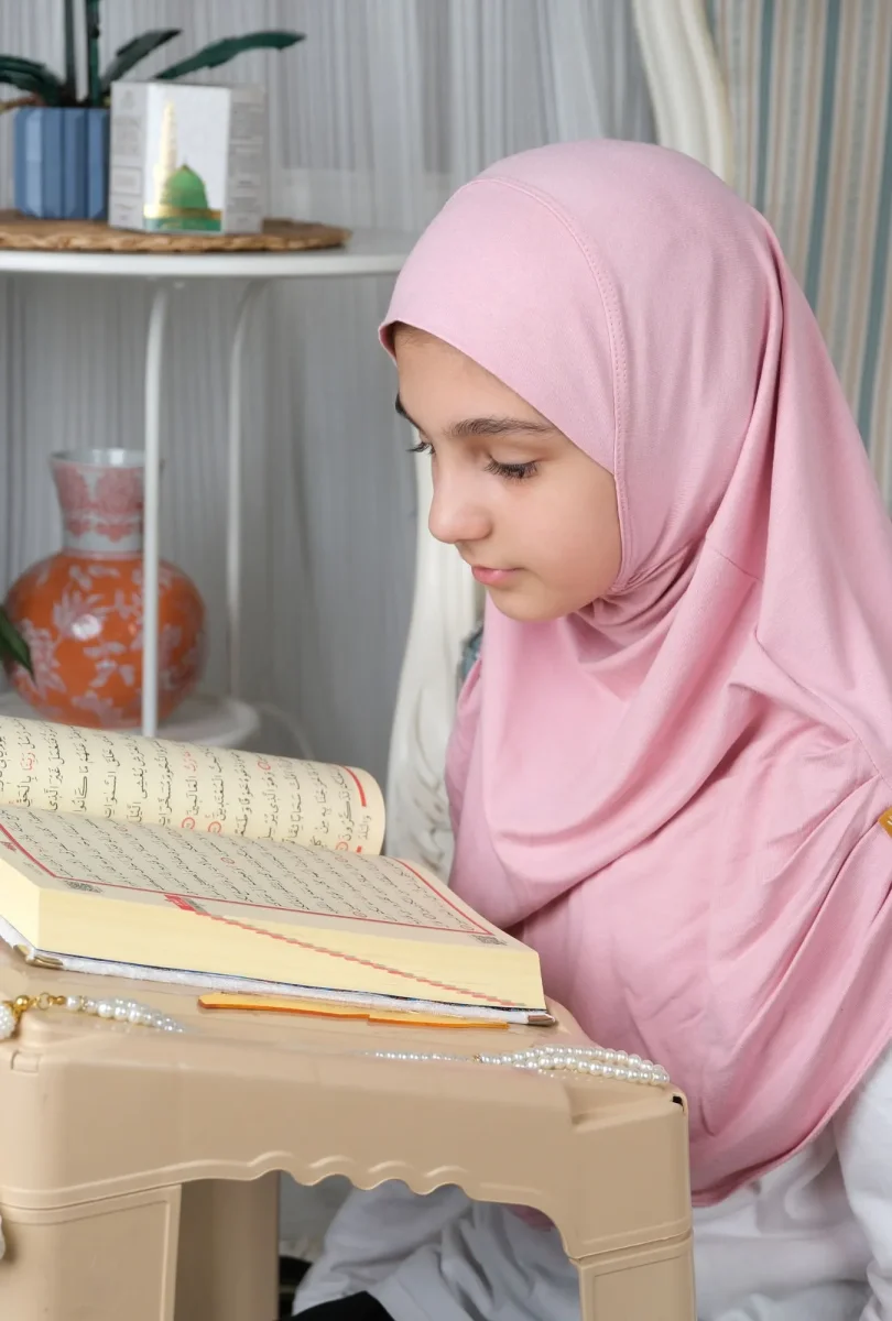 Pratik Hazır Geçmeli Çocuk Şal Pudra - 6