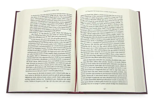 Qisas-i Enbiya and Tevârih-i Hulefa; History of Prophets and Caliphs (2 Volumes) - 4