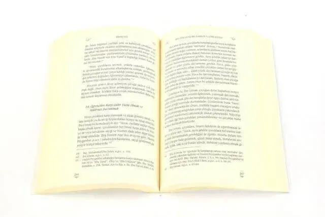 Rehnuma - Her Hocaya ve Aileye Lazım Sıbyan Eğitim Rehberi Talim ve Terbiye Serisi - 2