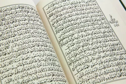 Şifa-ı Şerif - Cübbeli Ahmed Hoca - 6