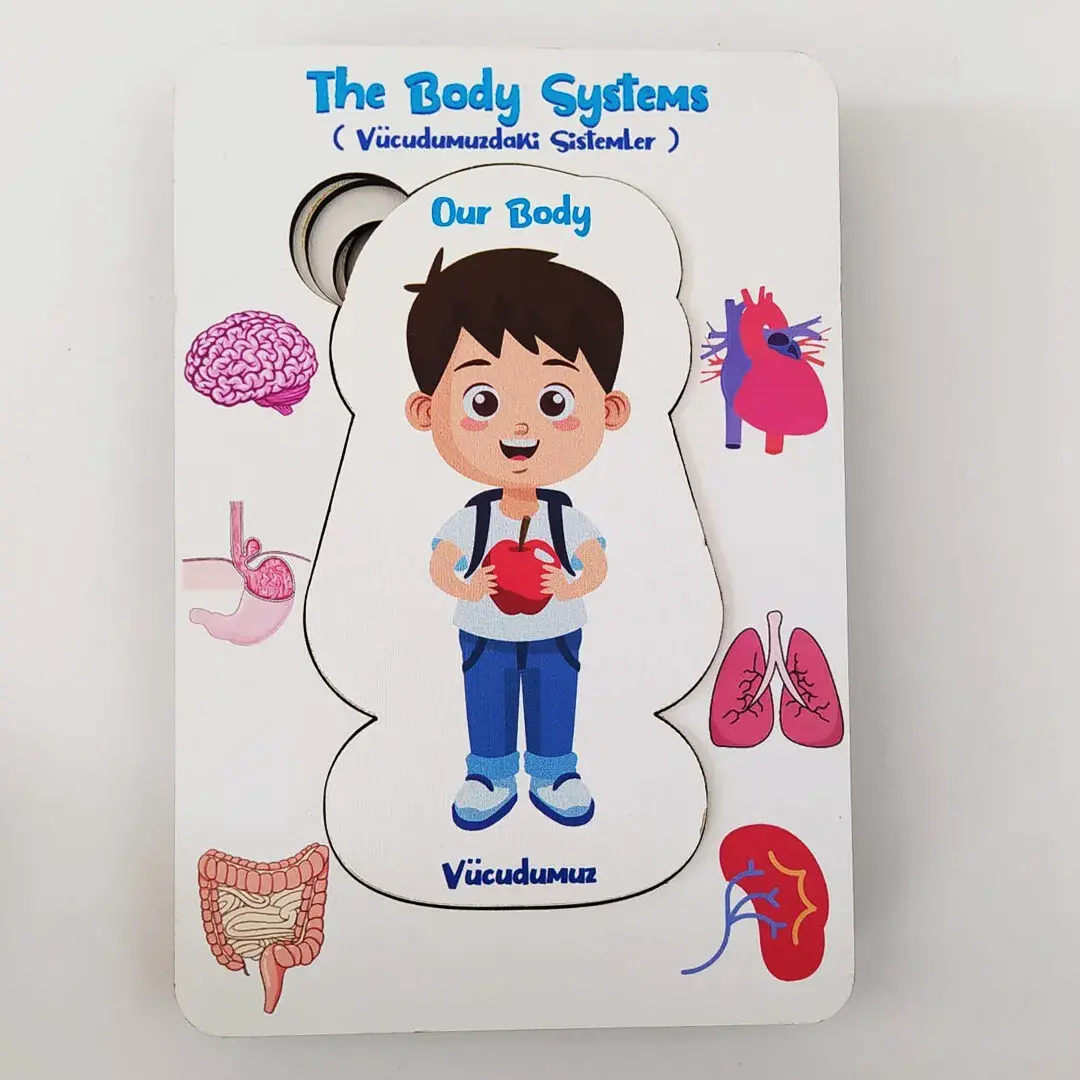 Systems in Our Body Puzzle - English and Turkish - Boy Puzzle - Educational Toy for Ages 5 and Above - 2