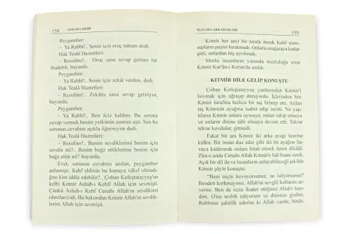 The Companions of the Cave and their Cave Companions - Paper Cover - 3