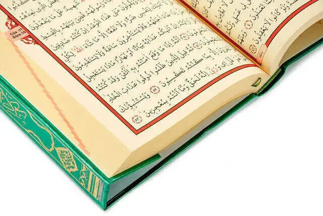 The Holy Quran - Plain Arabic - Medium Size - Fetih Publications - Computer Line - 6