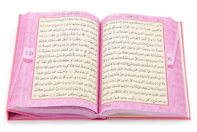 The Holy Quran - Plain Arabic - Medium Size - With Voice - Pink - With Computer Line
