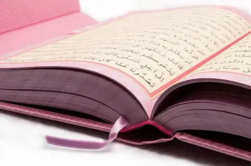 The Holy Quran - Plain Arabic - Medium Size - With Voice - Pink - With Computer Line - 4