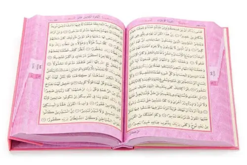 The Holy Quran - Plain Arabic - Medium Size - With Voice - Pink - With Computer Line - 2
