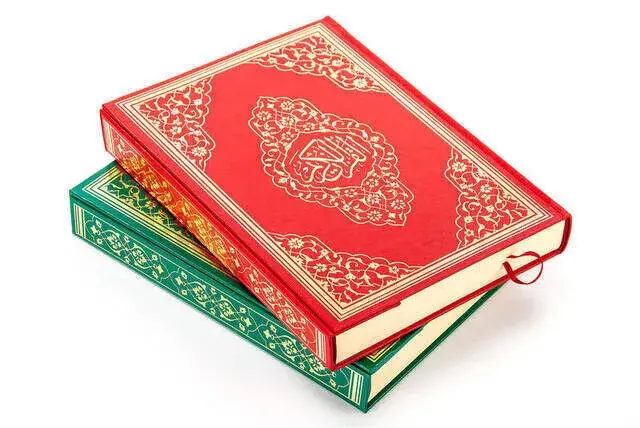The Holy Quran - Plain Arabic - Rahle Boy - Audio - Ayfa Publications - Computer Line - 2