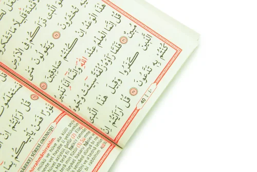 Türkçe Mealli Çanta Boy 80 Sayfa 41 Yasin QR Kodlu, Sesli Dinleme - Yeşil - 4